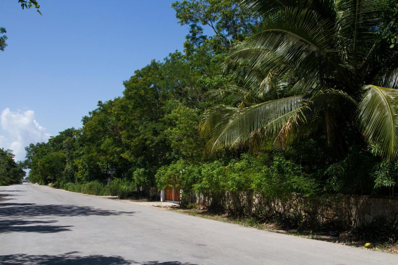 Villa Flor De Mayo Tulum Eksteriør billede