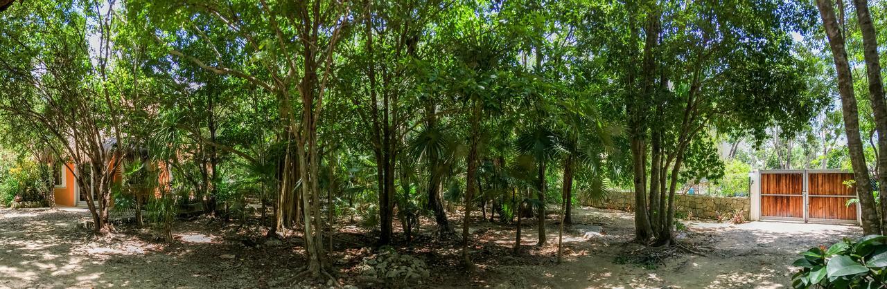 Villa Flor De Mayo Tulum Eksteriør billede