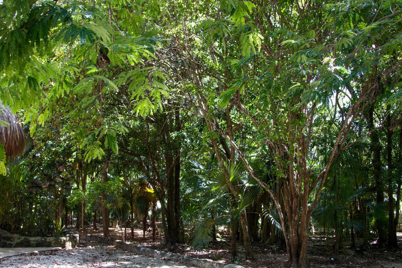 Villa Flor De Mayo Tulum Eksteriør billede