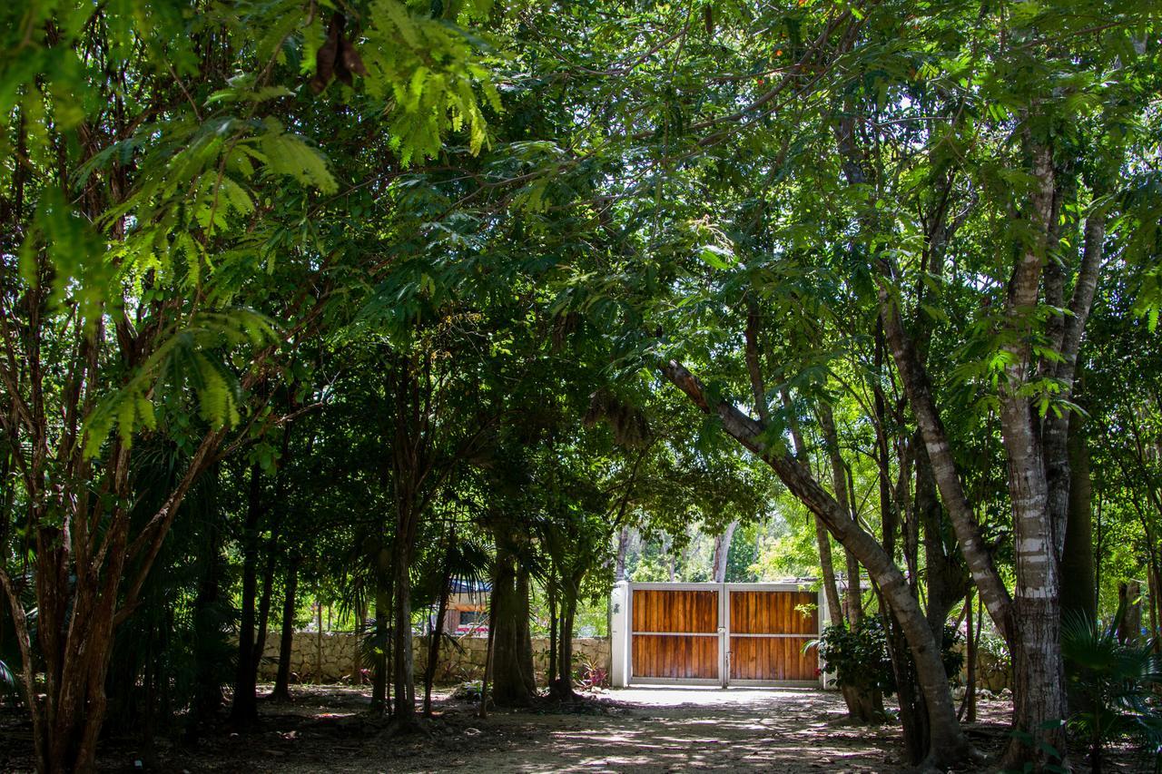 Villa Flor De Mayo Tulum Eksteriør billede