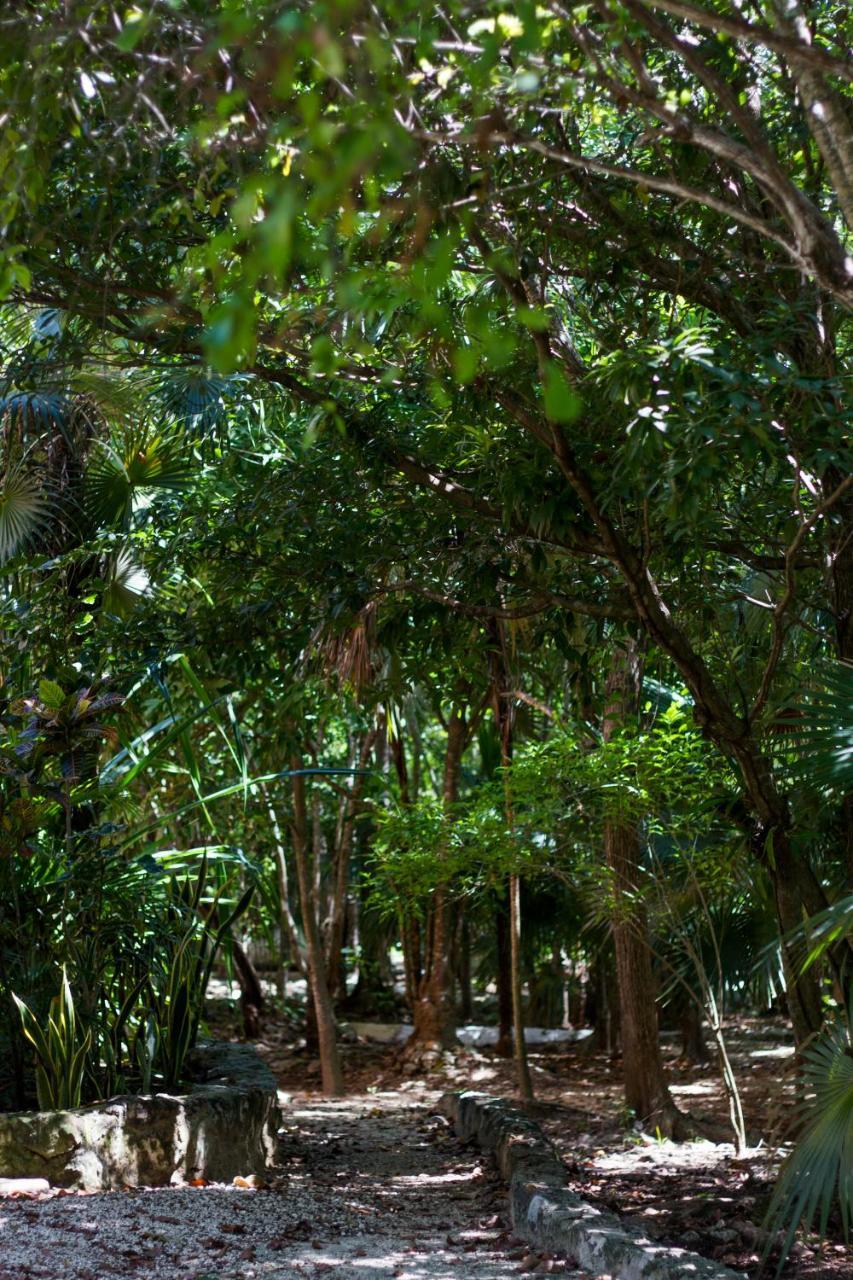 Villa Flor De Mayo Tulum Eksteriør billede