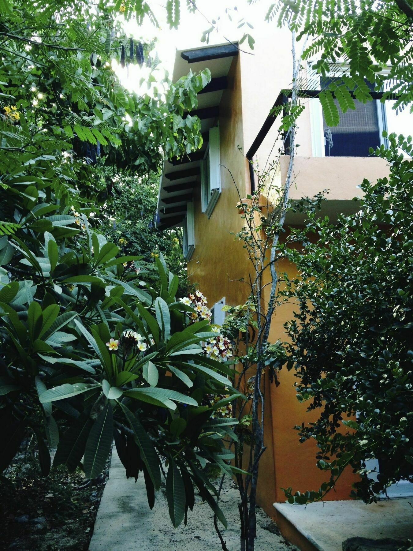 Villa Flor De Mayo Tulum Eksteriør billede